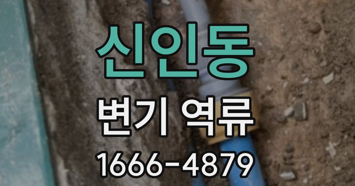신인동 변기 역류