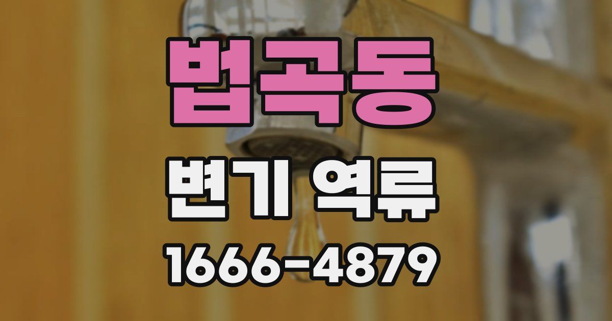 법곡동 변기 역류