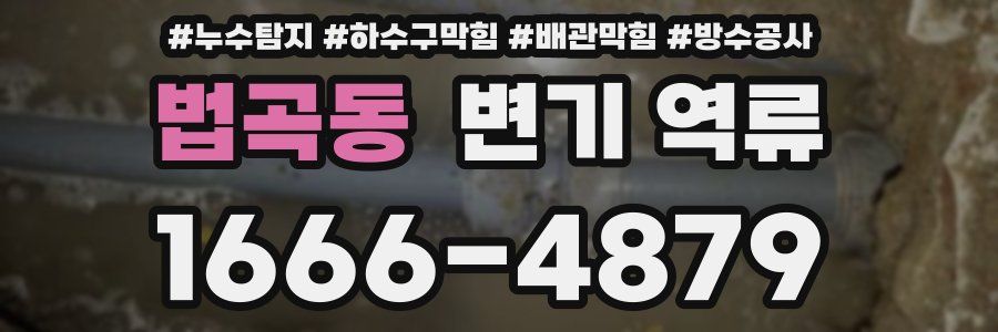 법곡동 변기 역류