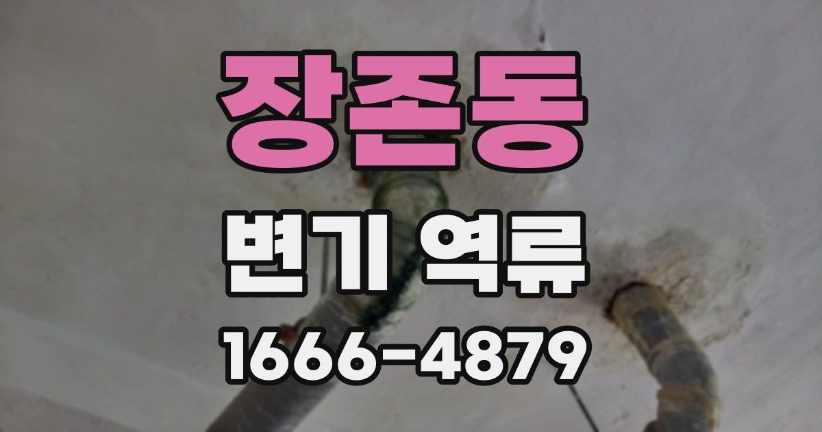 장존동 변기 역류