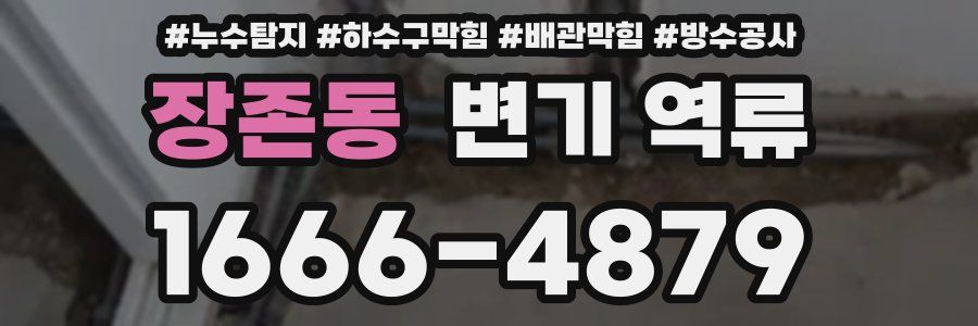 장존동 변기 역류