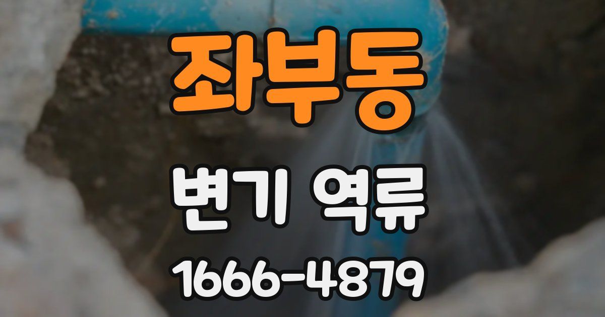 좌부동 변기 역류