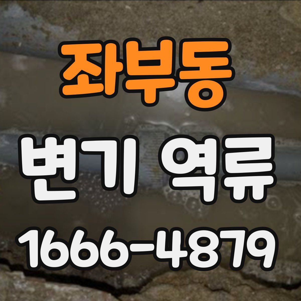 좌부동 변기 역류