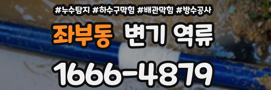 좌부동 변기 역류