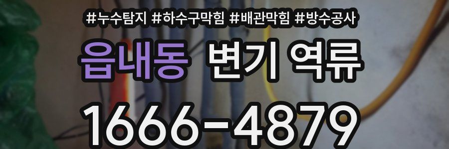 읍내동 변기 역류
