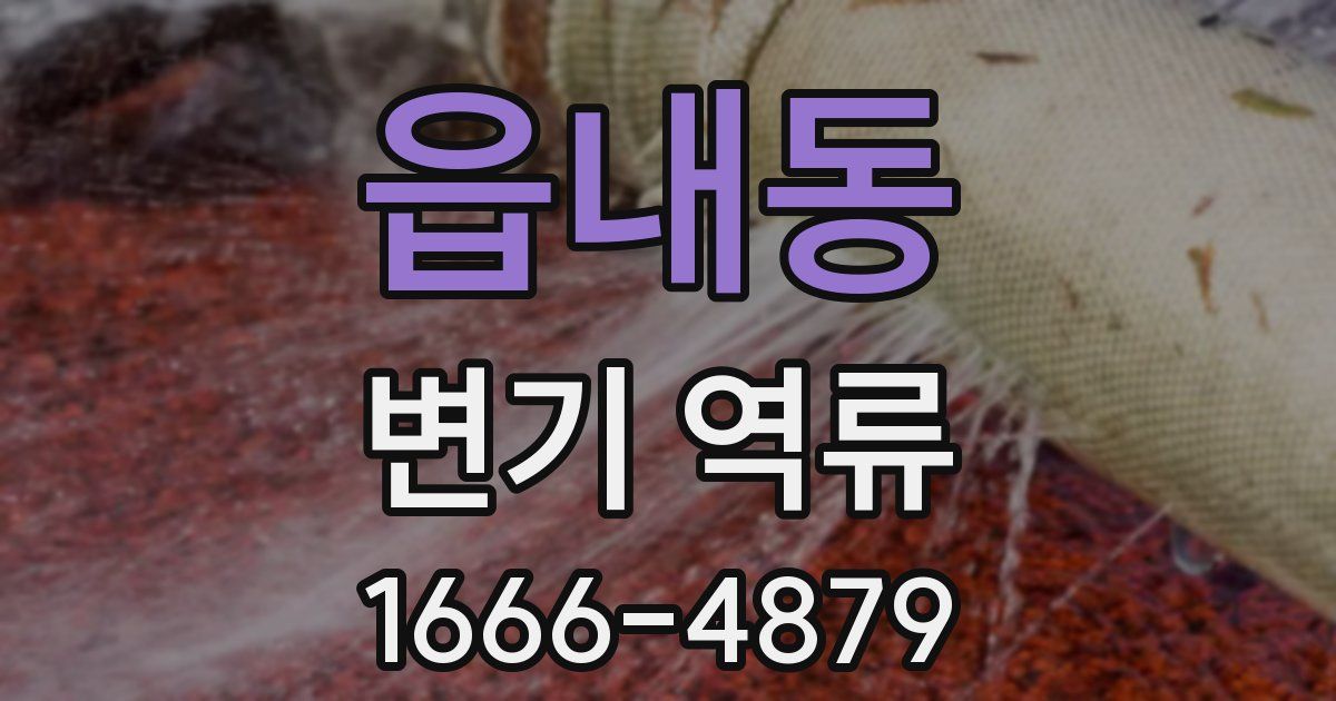 읍내동 변기 역류