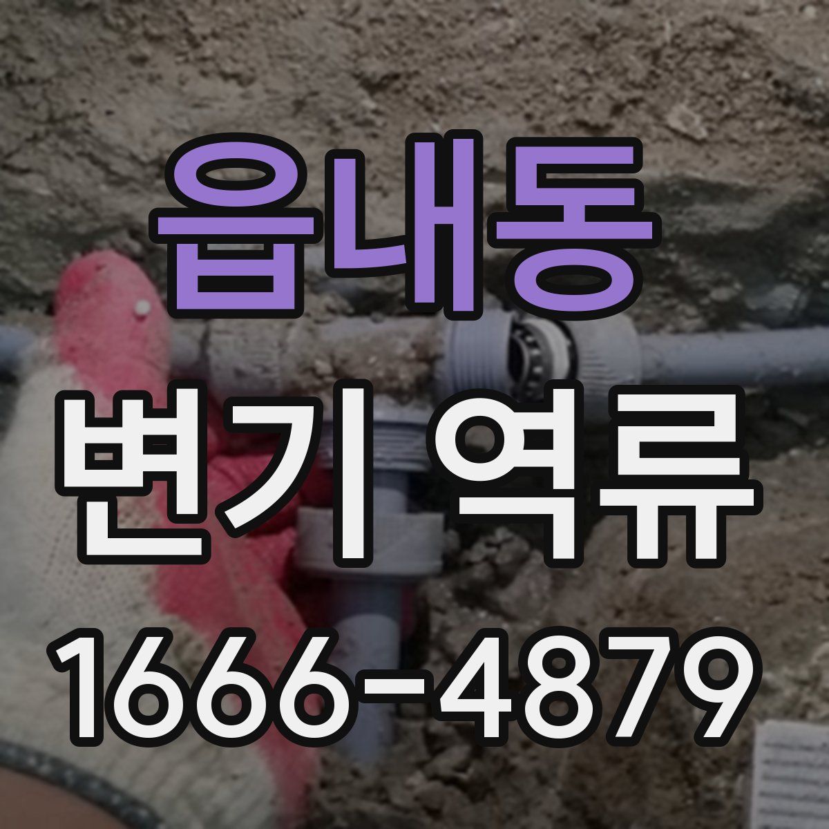 읍내동 변기 역류