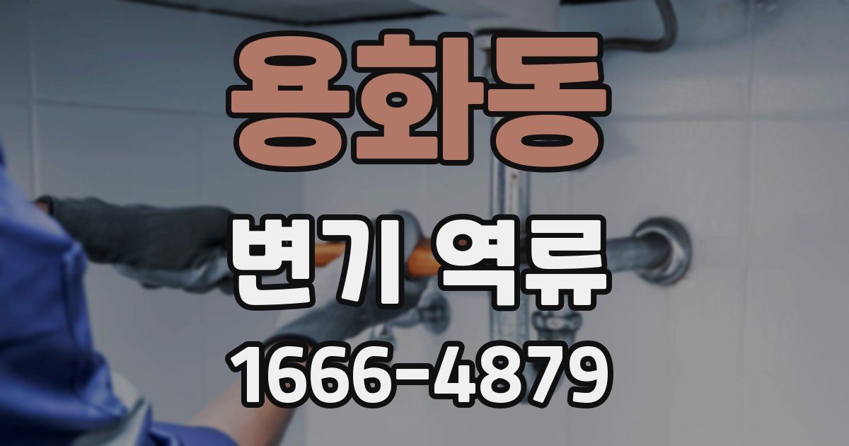 용화동 변기 역류