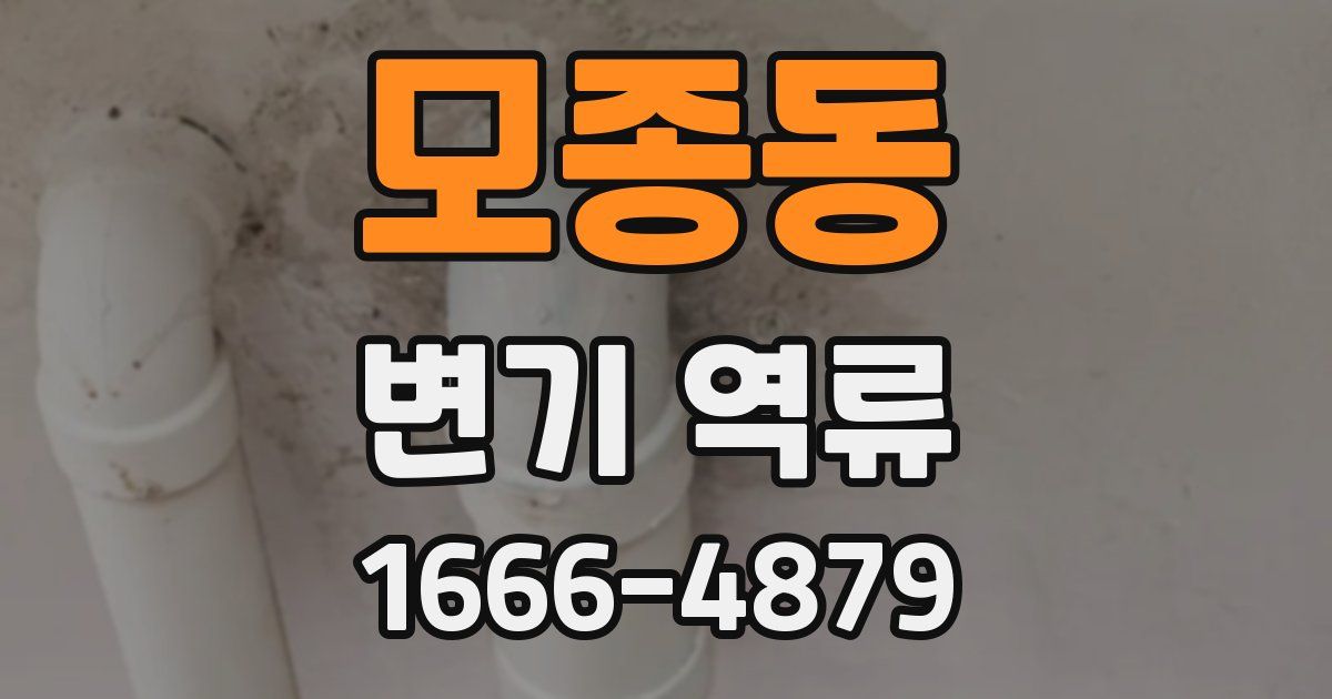 모종동 변기 역류