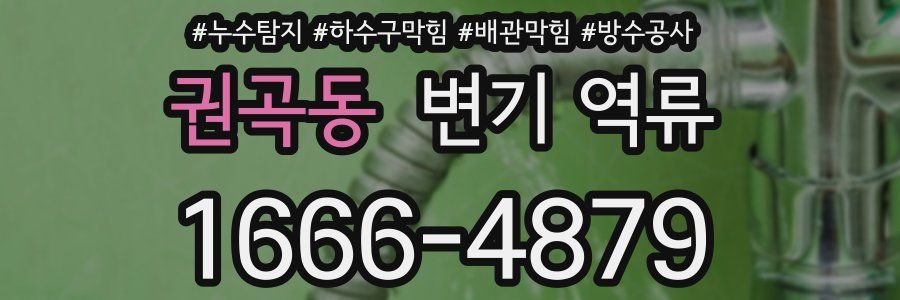 권곡동 변기 역류