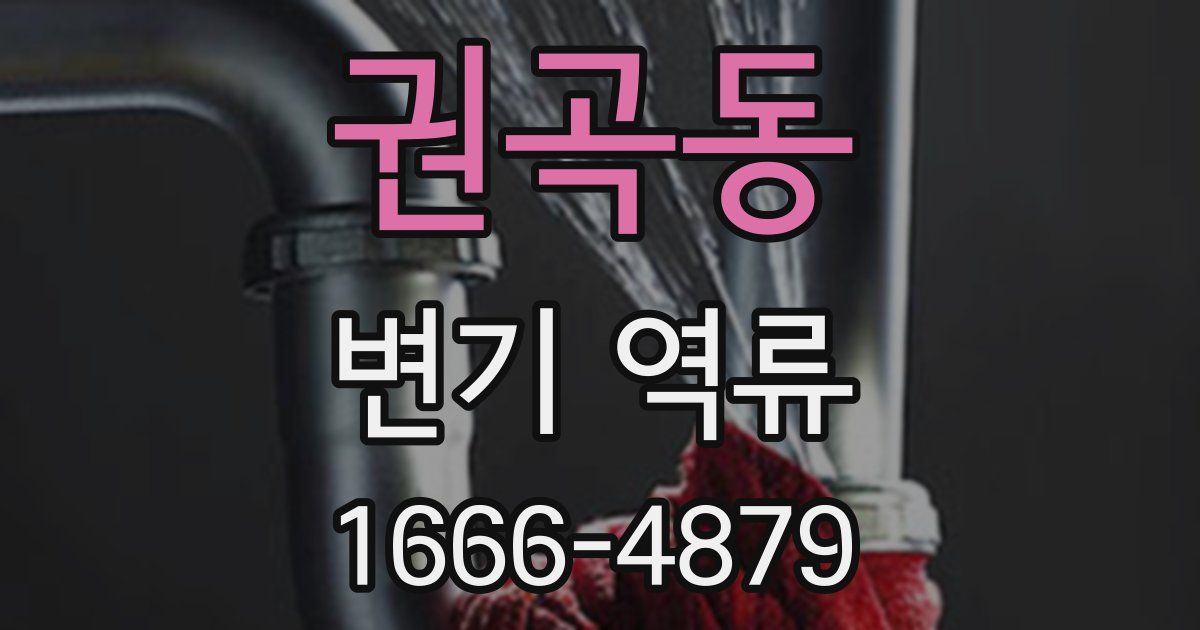 권곡동 변기 역류