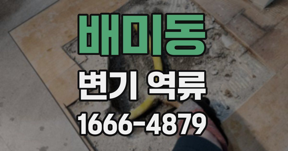 배미동 변기 역류