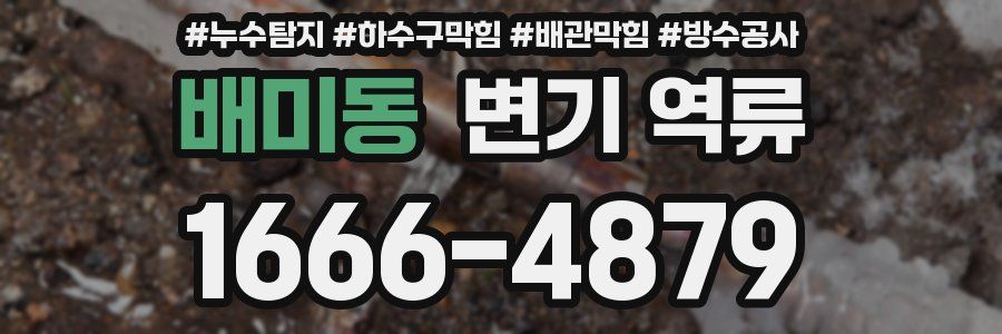 배미동 변기 역류