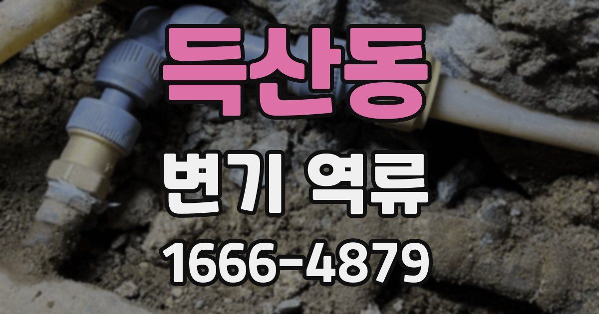 득산동 변기 역류
