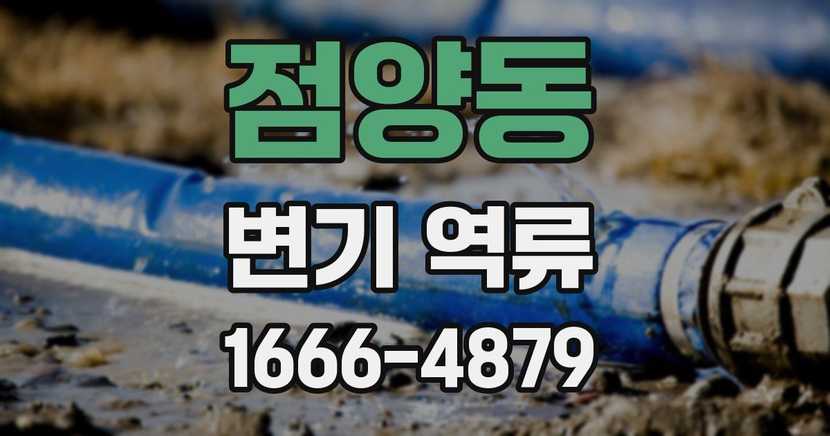 점양동 변기 역류