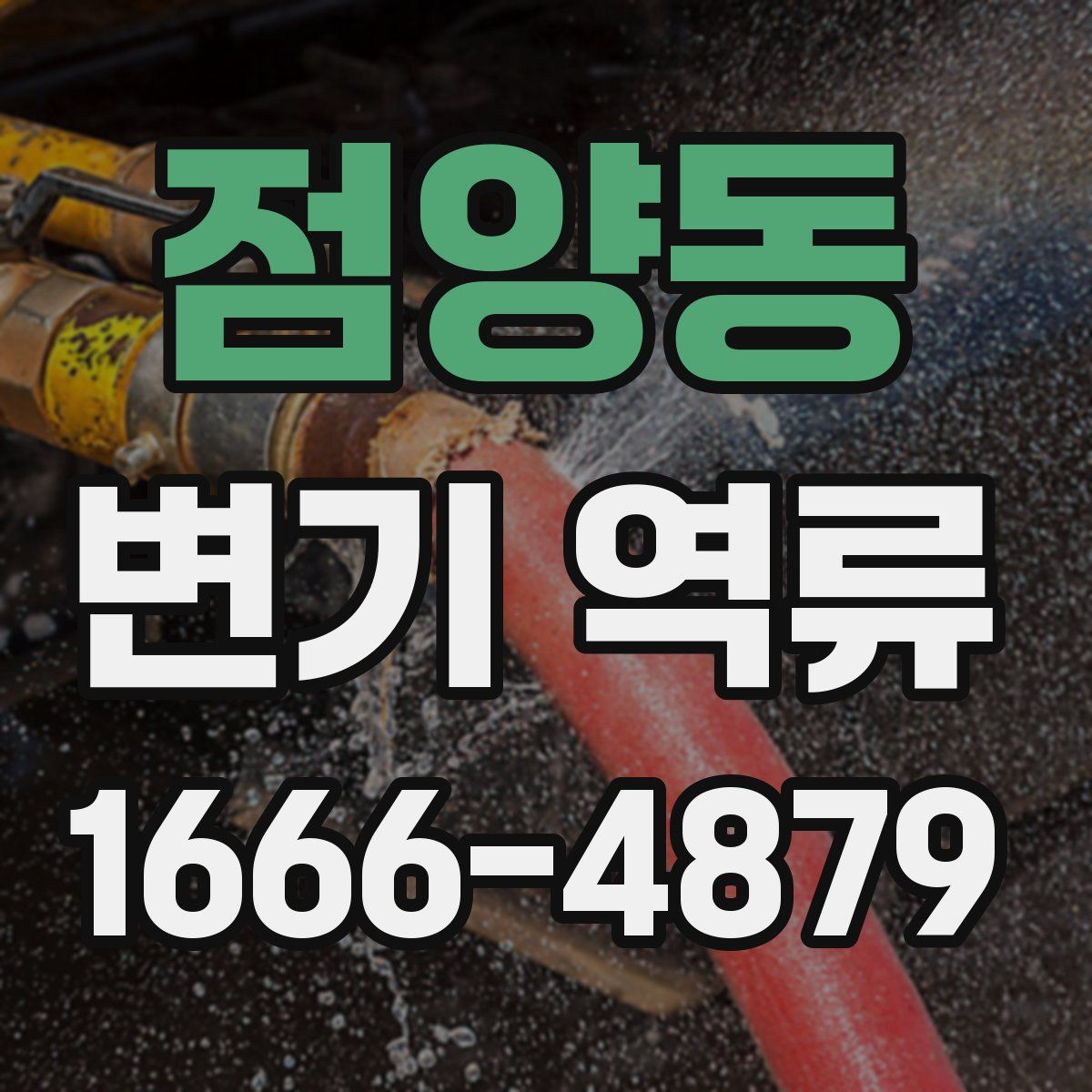 점양동 변기 역류