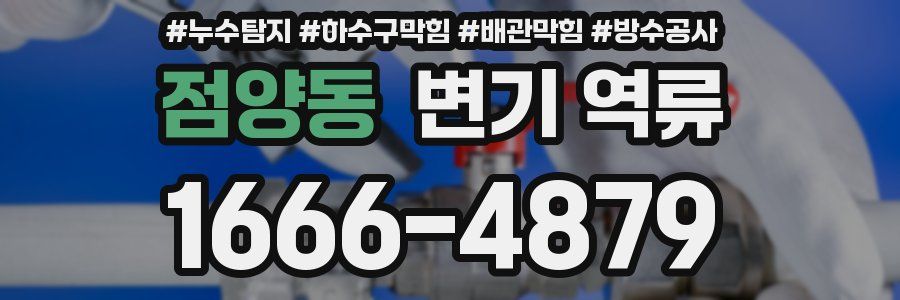 점양동 변기 역류