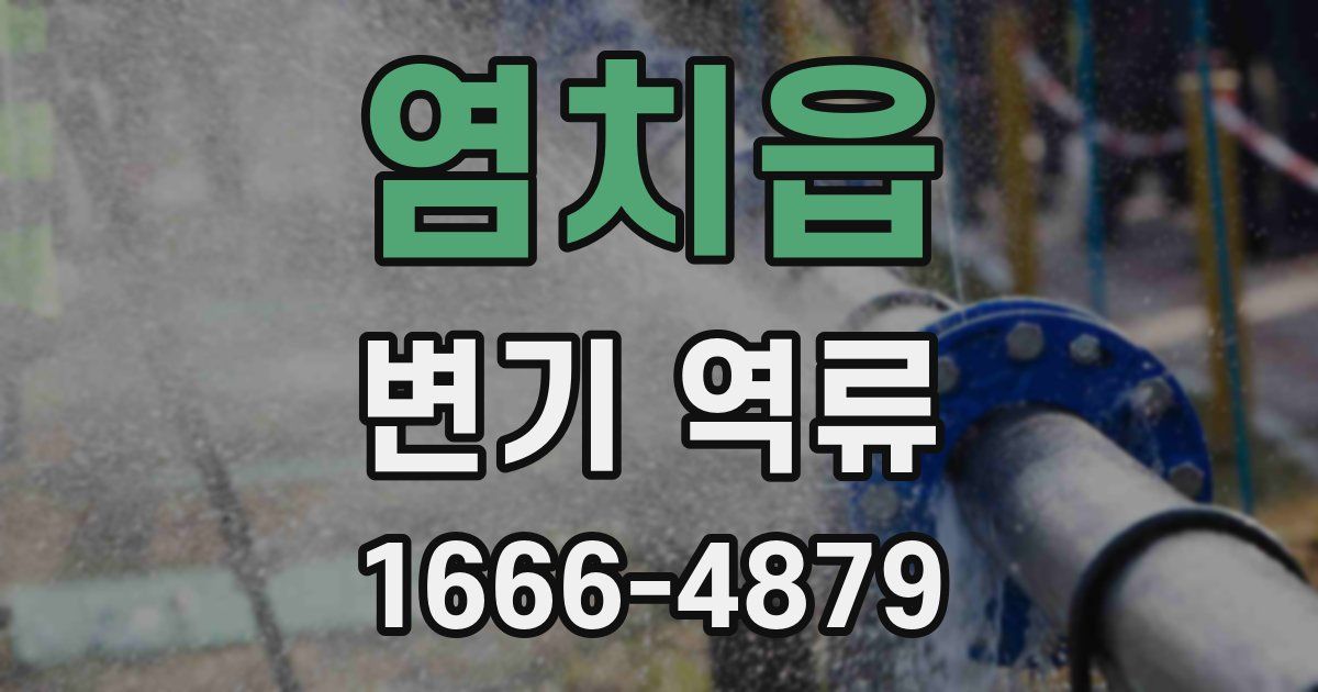 염치읍 변기 역류