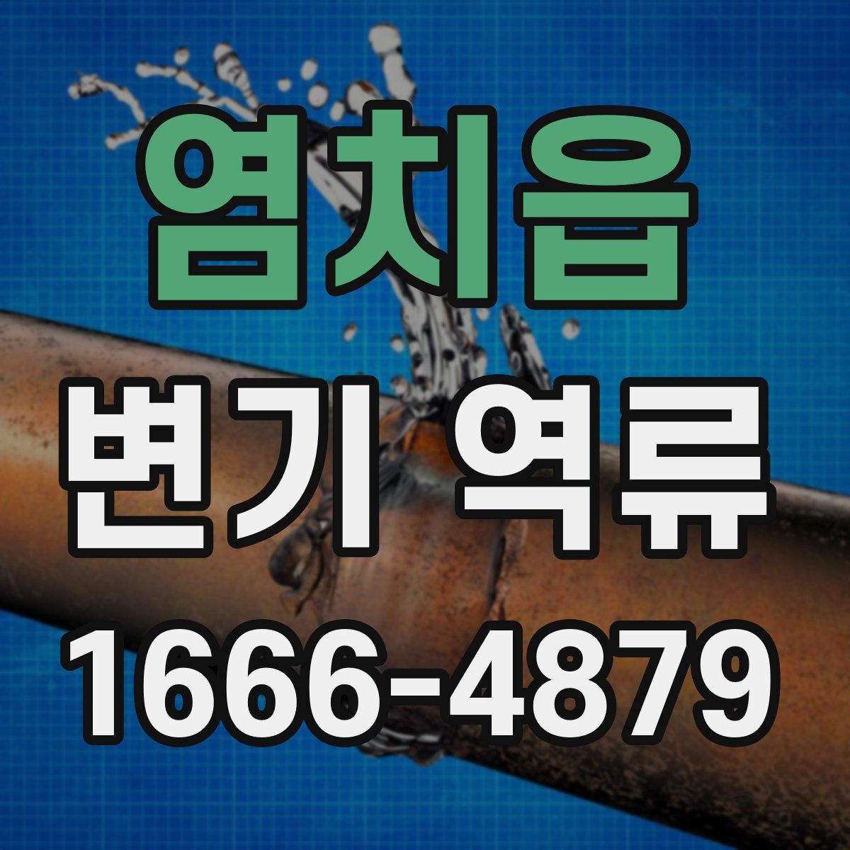 염치읍 변기 역류