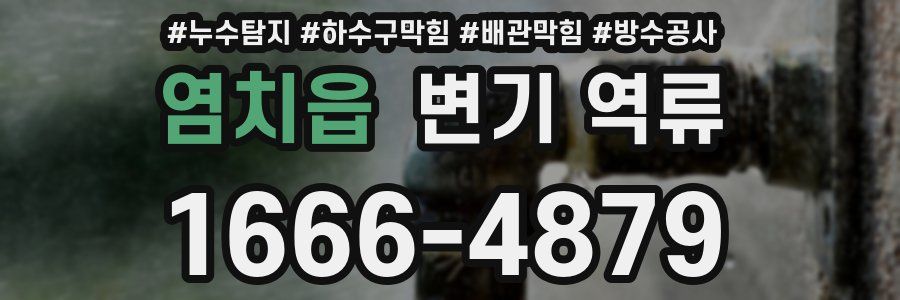 염치읍 변기 역류