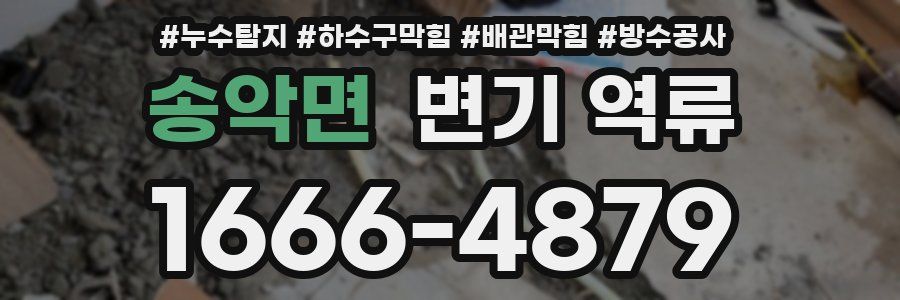 송악면 변기 역류