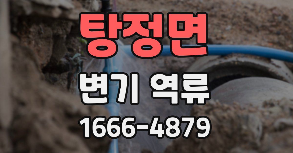 탕정면 변기 역류