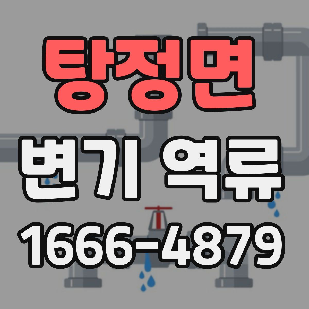 탕정면 변기 역류