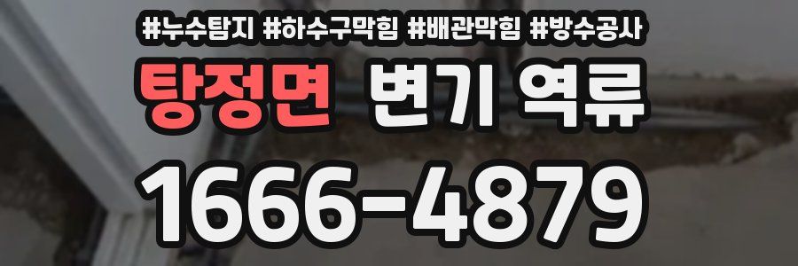 탕정면 변기 역류