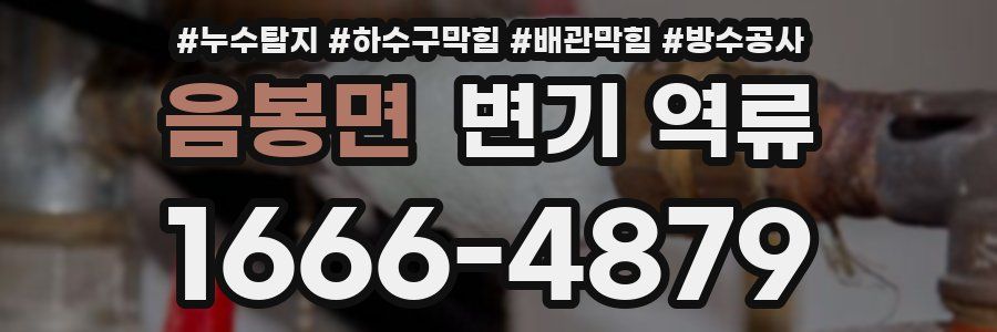 음봉면 변기 역류