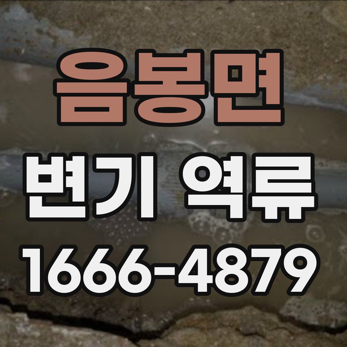 음봉면 변기 역류