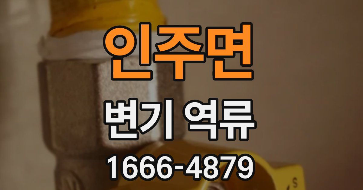 인주면 변기 역류