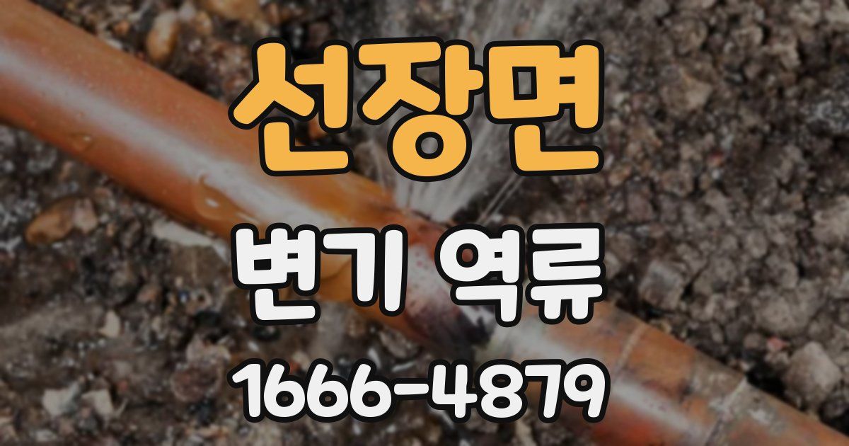 선장면 변기 역류
