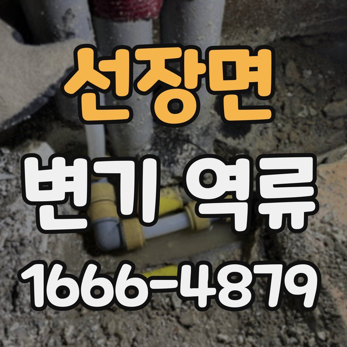 선장면 변기 역류