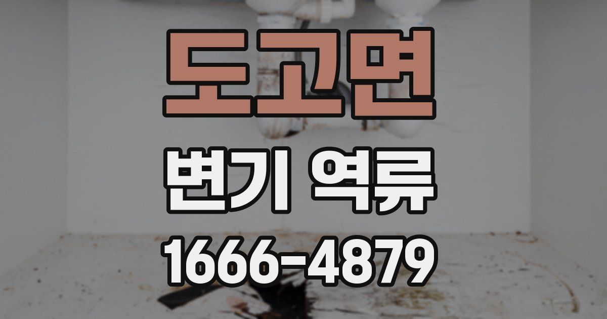 도고면 변기 역류