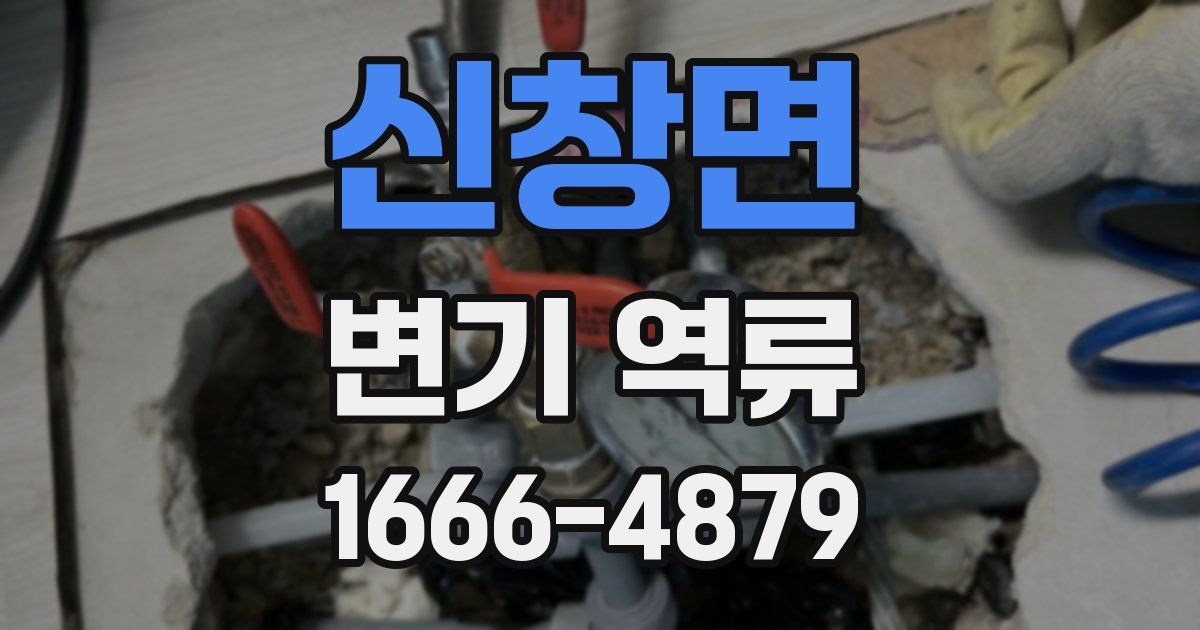 신창면 변기 역류