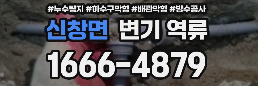 신창면 변기 역류