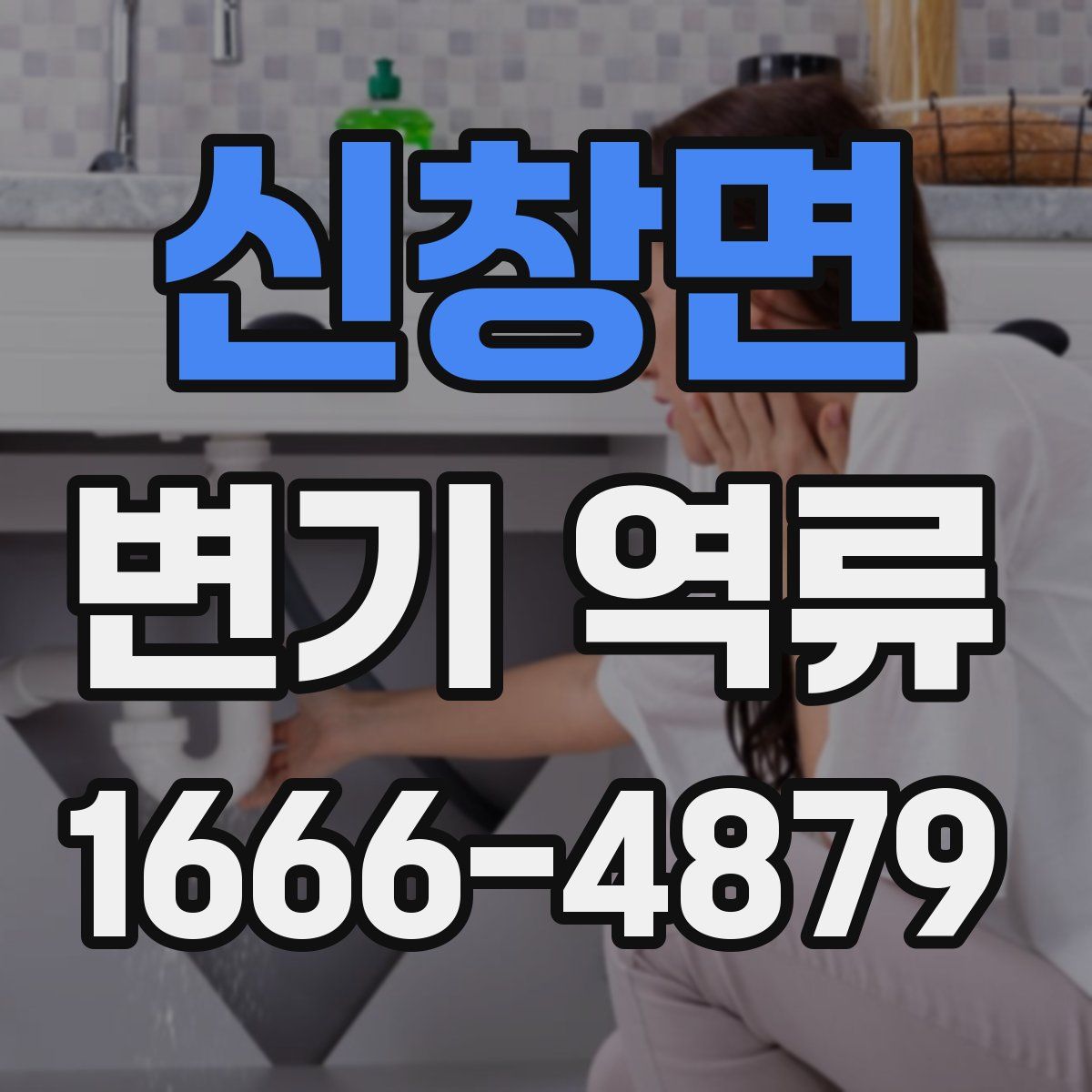 신창면 변기 역류