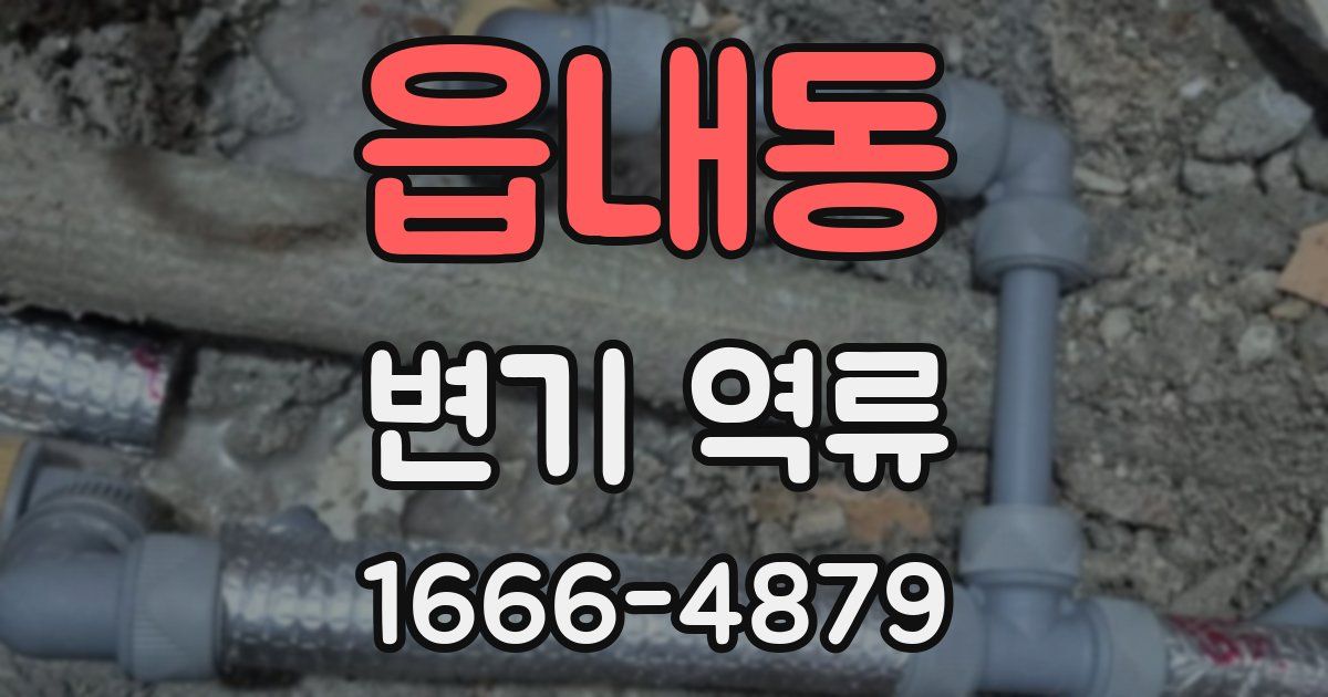 읍내동 변기 역류