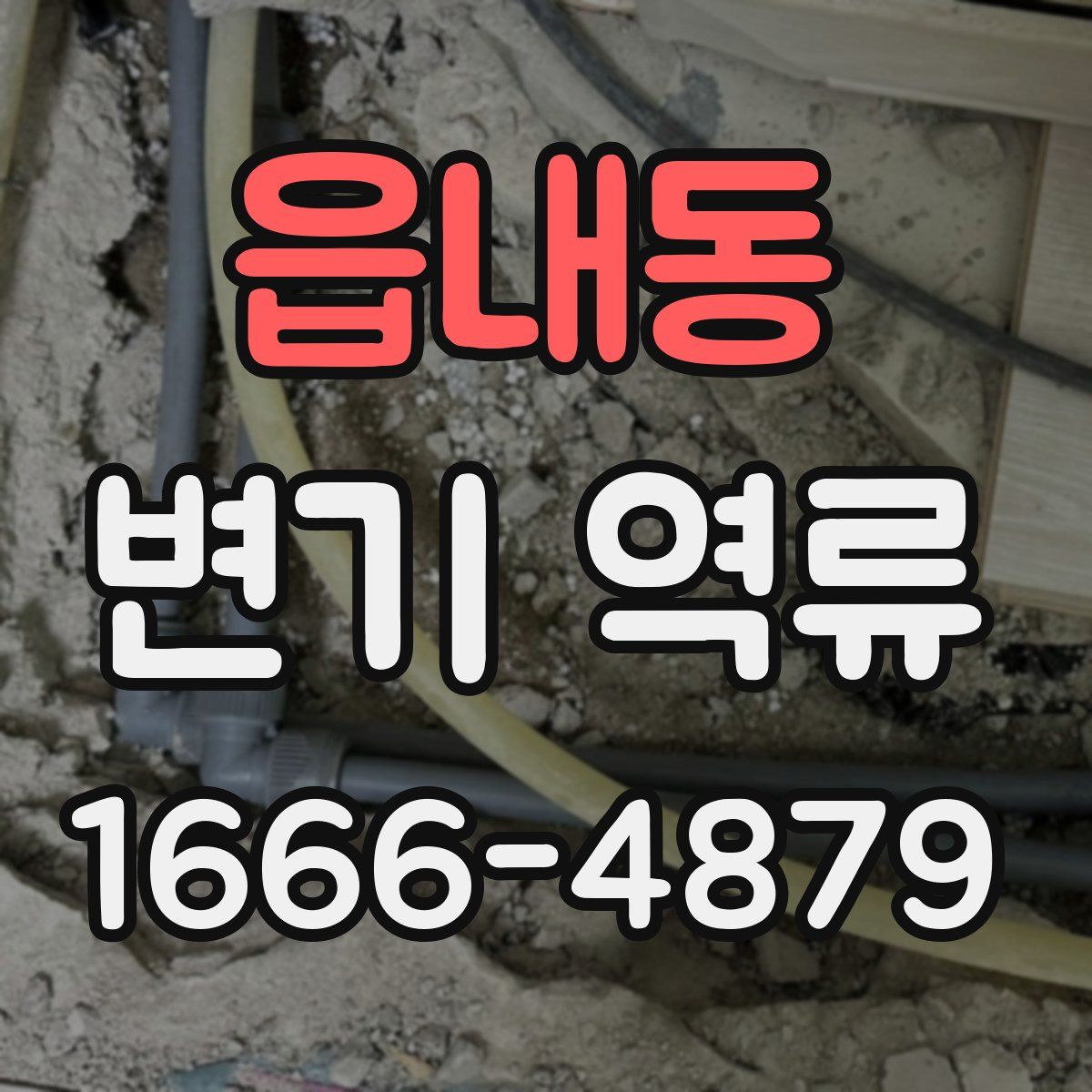 읍내동 변기 역류