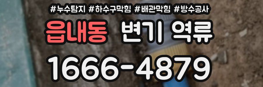 읍내동 변기 역류