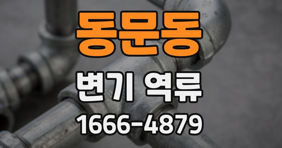 동문동 변기 역류