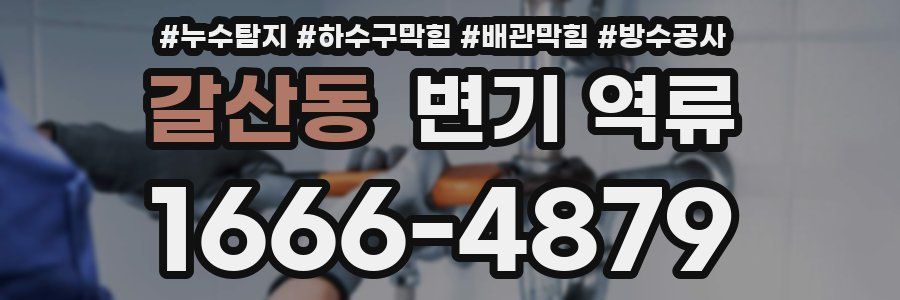 갈산동 변기 역류