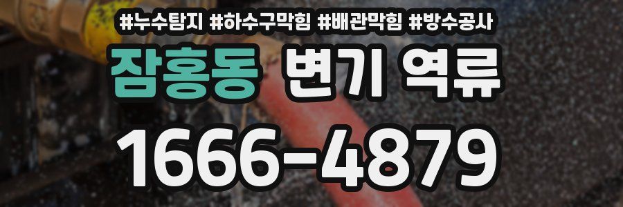 잠홍동 변기 역류