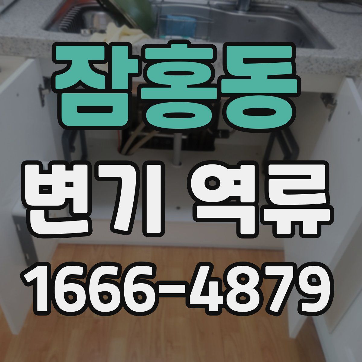 잠홍동 변기 역류