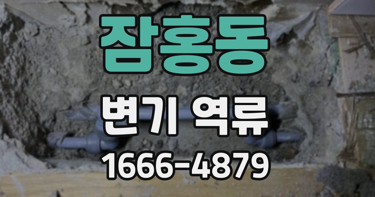 잠홍동 변기 역류