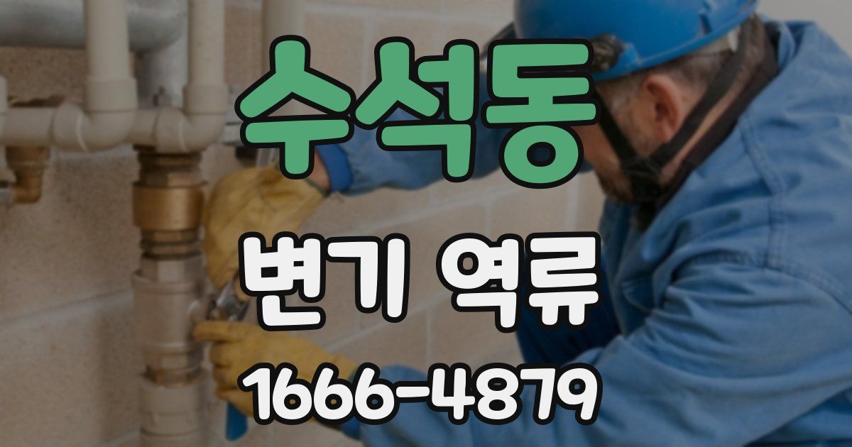 수석동 변기 역류