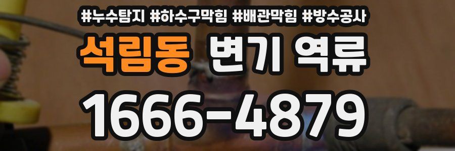 석림동 변기 역류