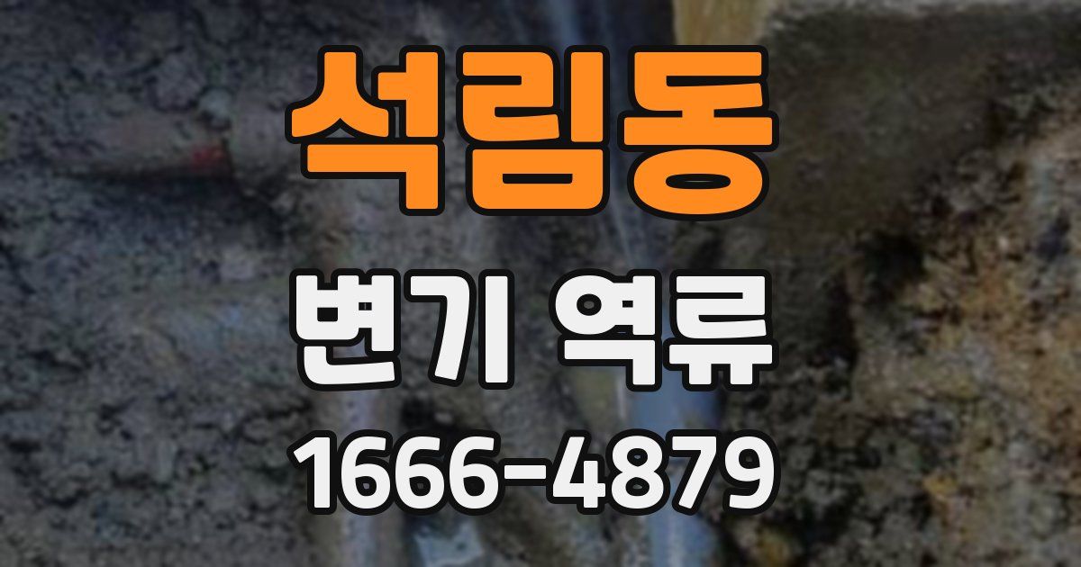 석림동 변기 역류