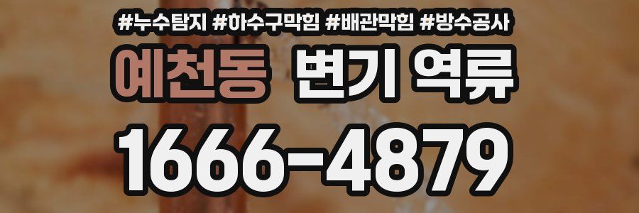 예천동 변기 역류