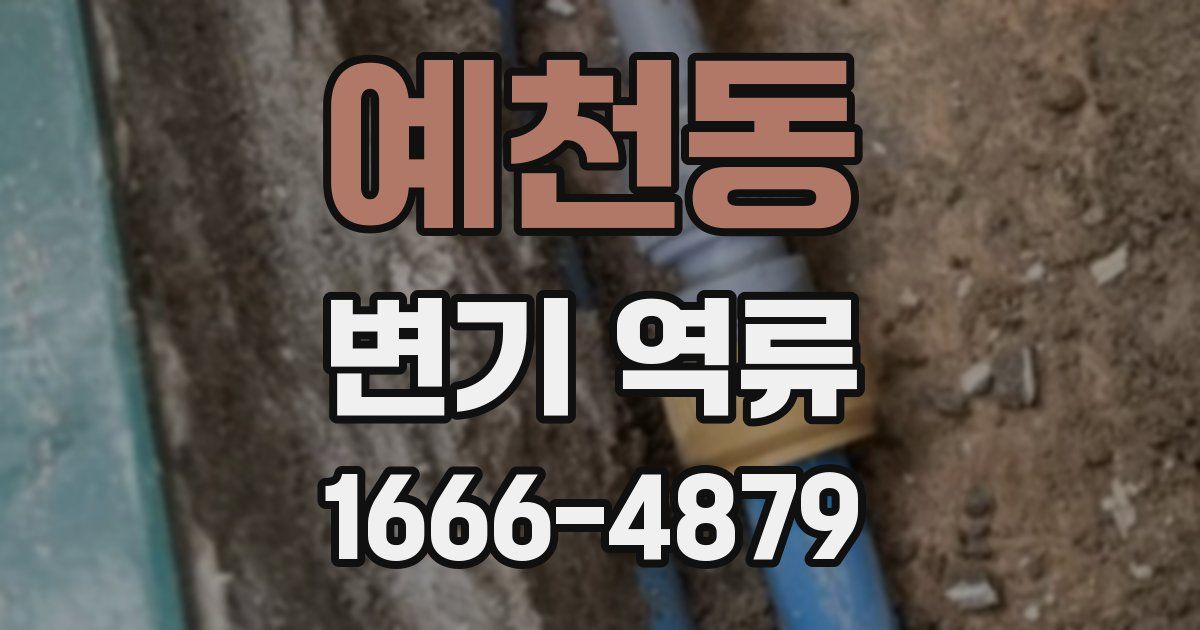 예천동 변기 역류